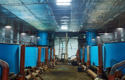 Iron Removal Plant